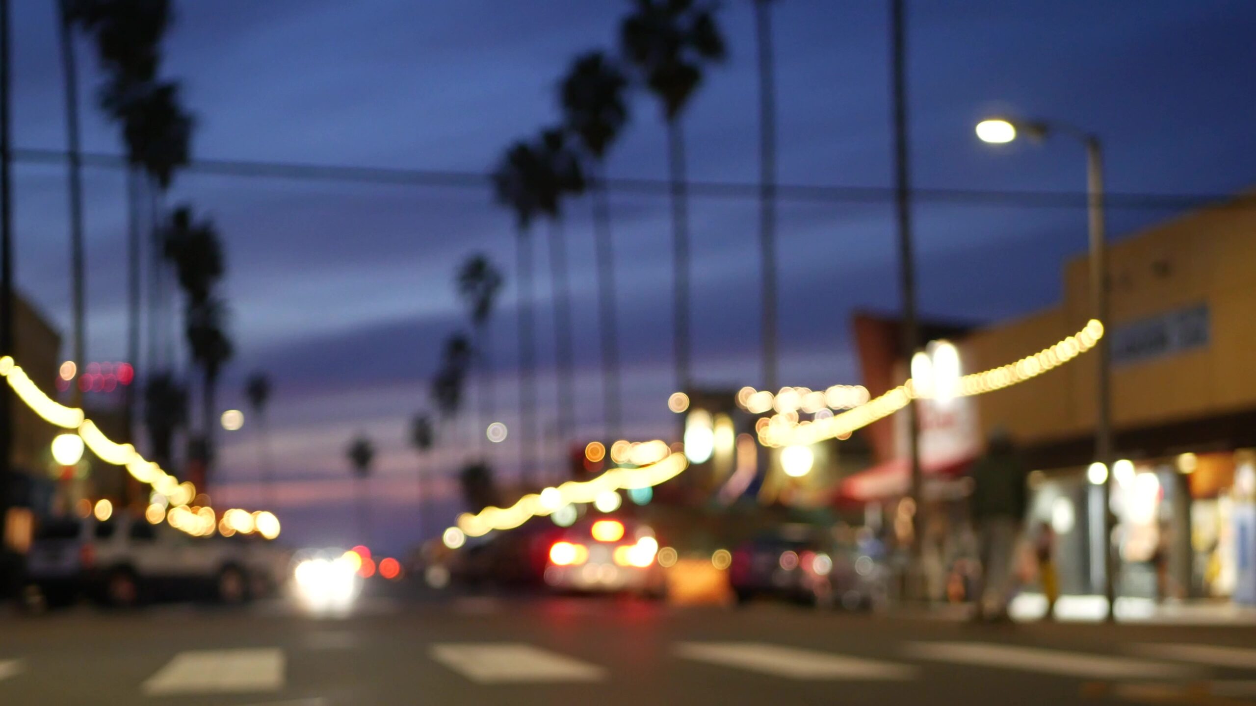 Palm trees in Ocean Beach, lights in twilight, California coast, San Diego, USA.